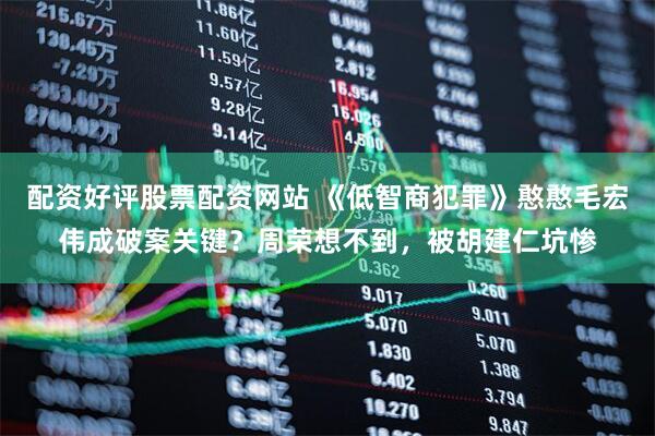 配资好评股票配资网站 《低智商犯罪》憨憨毛宏伟成破案关键？周荣想不到，被胡建仁坑惨